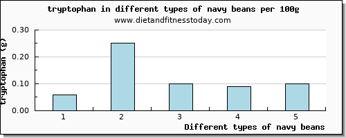 navy beans tryptophan per 100g